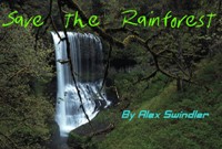 Rainforest